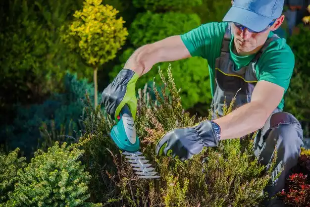 landscaping services Oceanside